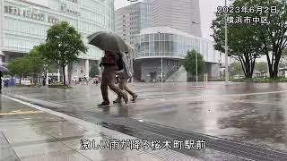 神奈川県内で大雨／神奈川新聞（カナロコ）