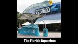 Top 10 Things To Do In Tampa Bay