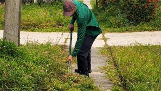 Son Buys House for Mom Doesn't Recognize Property After OVERGROWN Lawn Transformation