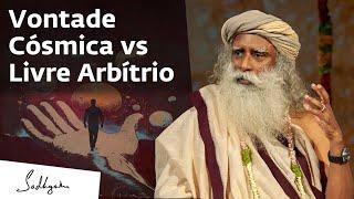 Livre Arbítrio Existe ou Tudo Já Está Predestinado? | Sadhguru Português