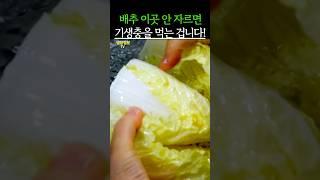 배추 이곳 안자르면 기생충을 먹는 겁니다! #건강 #건강정보