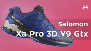 Кроссовки Salomon Xa Pro 3D V9 Gtx. Обзор