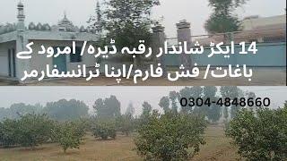 14 acre beautiful land | Raqba | Dairy farm | fish farm | Farm house for sale | investment |