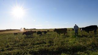 Regenerative Grazing and Soil Health - Livestock on the Land