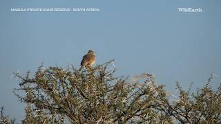 A birder’s paradise