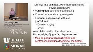 More Than Meets the Eye: The Eye and Migraine for Ophthalmologists
