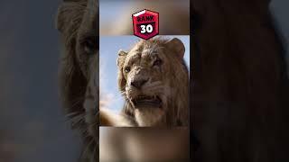 Lion King Brawl Stars Rank #shorts