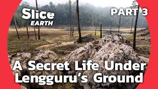 Lost World Revealed: Discovering Hidden Treasures of Papua's Lengguru Massif | SLICE EARTH | PART 3