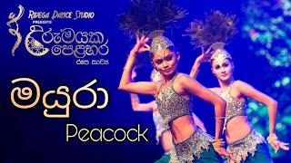 Mayura | Peacock Dance | Rivega Dance Studio | Rangika Jeewantha | Creative Dance | Sri Lankan Dance