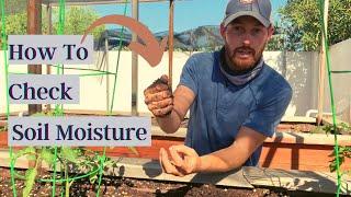 Quick & Easy Soil Moisture Test: How to tell if your soil moisture level is correct in your garden.