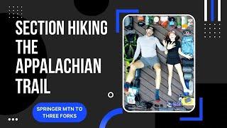 Backpacking the Appalachian Trail // Springer Mountain to Three Forks