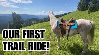 Arabian HORSE ️ Trail riding in MONTANA!     POV