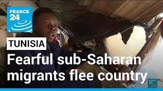 Hundreds of fearful sub-Saharan migrants flee Tunisia after President's controversial remarks