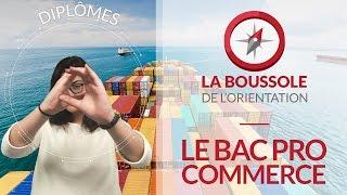 Le Bac Pro Commerce  La boussole de l'orientation | Série Diplôme