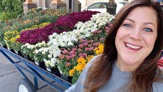 Fall Plant Shopping! // Garden Answer