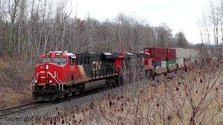 Full throttle uphill drag for a CNR container train. Climbing part of the Niagara Escarpment.