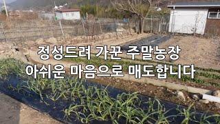 김해시 상동면 여차리에 있는 잘 가꾸어진 주말농장 토지 매매입니다.