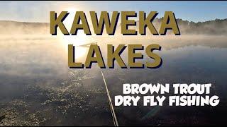 Dry fly fishing for Brown trout on the most beautiful forest lake in New Zealand