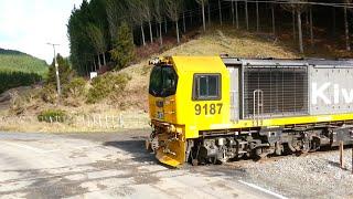 Chinese built locomotive, DL 9187, pulling a freight train over Waimiha Road, Aotearoa, 2015.