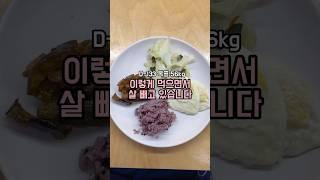 다이어트 식단 초절식 안해요