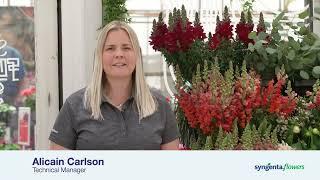 Specialty Cut Flowers Program | CAST 2022