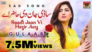 Gulaab | "Sadi Jaan" |  Latest Punjabi Songs | TP Gold