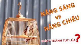 KÍCH CHÀO MÀO CĂNG LỬA VỚI "NẮNG" VÀ LƯU Ý ĐỂ TRÁNH TỤT LỬA