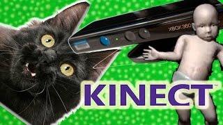 A Feral Cat Reacts to the Kinect (feat. Freddy Purrcury)