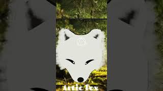 Fox therian mask ideas! #therian #antizoo #redfox #articfox #silverfox @l-Nobara-l