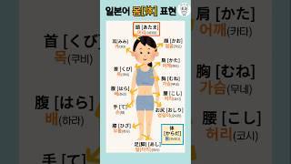 몸은 일본어로 体(からだ)! | 일본어 기초 인체 표현 배우기
