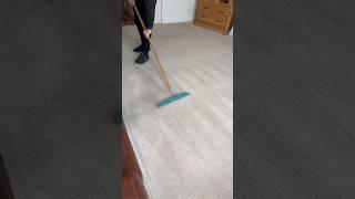 CARPET RAKE  #satisfying #asmr