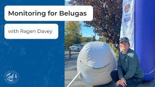 Defenders: A Day in the Life - Monitoring for Belugas