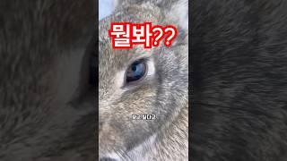 남식이~~