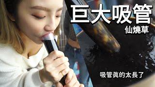 巨大吸管吃仙燒草! 燒仙草冬天超多人愛吃! 最愛.吃貨們