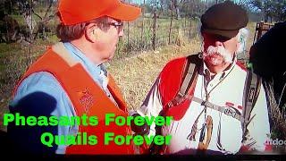 Quail Hunting,The Flush,Mason TX,Pheasant hunt,Franchi shotguns,Premier Ranch Texas,Roosters,Hens