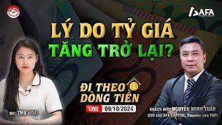 LÝ DO TỶ GIÁ TĂNG TRỞ LẠI? | #ĐTDT 09/10/2024