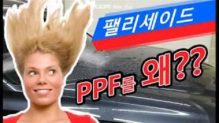 팰리세이드 PPF 를 왜해?? PPF,썬팅,랩핑 전문가 직접 보여드립니다!