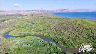 Droning the JORDAN RIVER into the SEA OF GALILEE