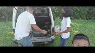Tree plantation | Uu Thaba | Nongdam Shanglen Pa-Khangba Lainingkol | Komla Ingkhol Wakha  Imphal