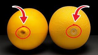 Tips for Cutting Cantaloupe That Will Make Everyone Admire !