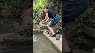 说好不看我的 #大山里的味道 #记录真实生活 #我的乡村生活