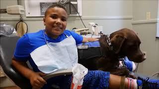 Our Dog Allows Children to Forget about Dental Fear