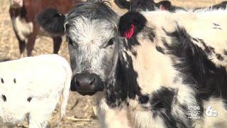 Idaho farmers facing  Inflation