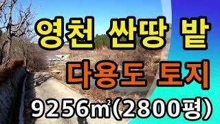 가격인하 재업 영천땅 북안면 다용도밭 건축가능 나무심을땅 농장 짐승사육 9256㎡ (2800평) 매매 1억8000만원 평당 (6만4280원)매물번호182