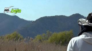 JR XG8 Test Flight -T-REX450 Sports-