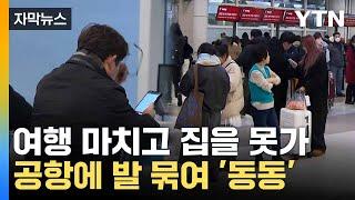 [자막뉴스] 항공편도 없는 상황... 제주공항 폭설에 '결항 속출' / YTN