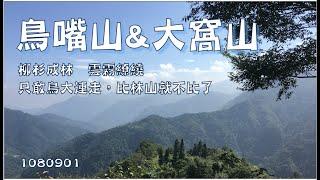 中級山    鳥嘴山及大窩山   1080901