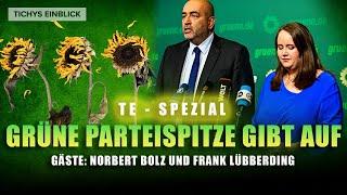 Grüne Parteispitze gibt auf: TE-Spezial mit Norbert Bolz und Frank Lübberding