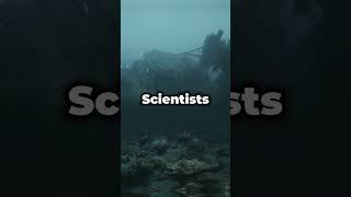 Titanic’s Wreck Will Eventually Dissolve #shorts #shortvideo #facts #trending