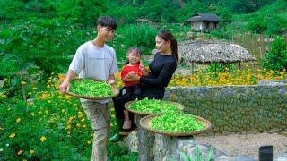 The Joy of Harvesting Agricultural Products & Cooking Delicious Meals Together - Sang Vy's Family